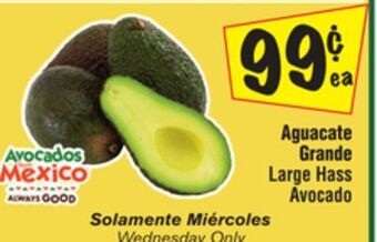 El Super Large hass avocado offer