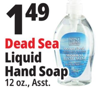 Ocean State Job Lot Dead sea liquid hand soap offer