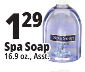 Ocean State Job Lot Spa soap clear liquid soap, 16.9 oz offer