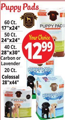 Ocean State Job Lot Puppy pads offer