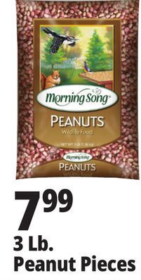 Ocean State Job Lot 3 lb. peanut pieces offer