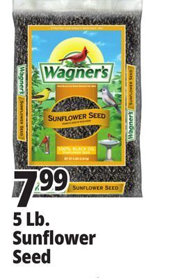 Ocean State Job Lot 5 lb. sunflower seed offer