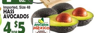 Bravo Supermarkets Hass avocados offer