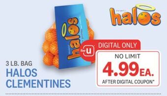 Kings Food Markets Halos clementines offer