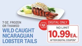 Kings Food Markets Wild caught nicaraguan lobster tails offer