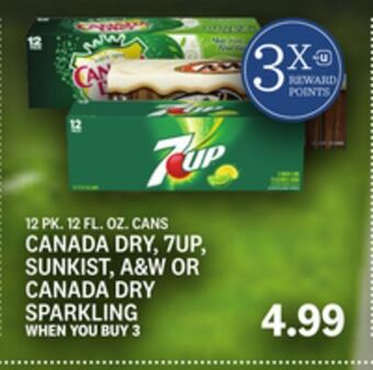 Kings Food Markets Canada dry, 7up, sunkist, a & w or canada dry sparkling offer