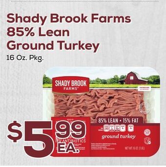 DeCicco & Sons Shady brook farms 85% lean ground turkey offer