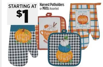 Dollar General Harvest potholders or mitts offer