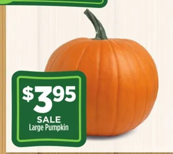 Dollar General Large pumpkin offer