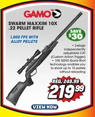 Big 5 Gamo swarm maxxim 10x g2 pellet rifle offer
