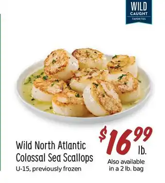 Sprouts Farmers Market Wild north atlantic colossal sea scallops offer