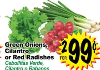 Superior Grocers Green onions, cilantro or red radishes offer