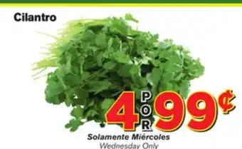 El Super Fresh Cilantro offer