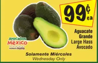 El Super Large hass avocado offer