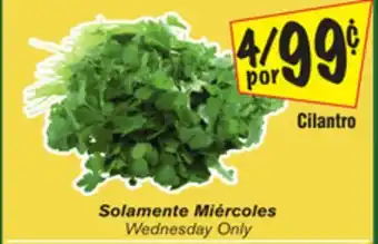 El Super Cilantro offer