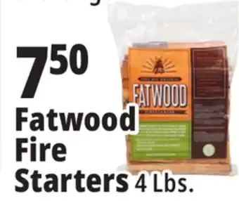 Ocean State Job Lot Fatwood firestarter offer