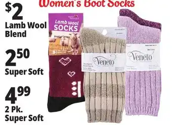 Ocean State Job Lot Women's boot socks offer