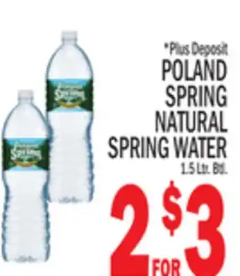 C Town Poland spring natural spring water offer