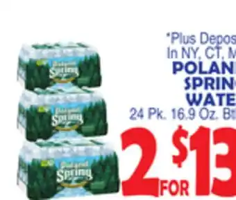 Bravo Supermarkets Poland spring water offer