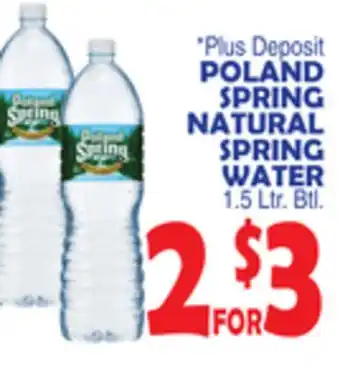 Bravo Supermarkets Poland spring natural spring water offer