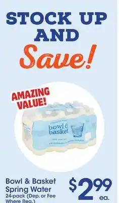 Price Rite Bowl & basket spring water 24-pack offer