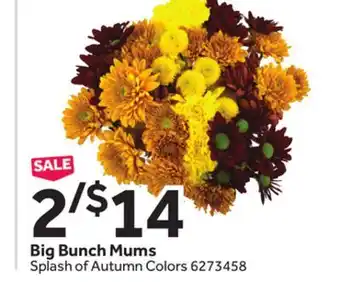 Stop&Shop Big bunch mums offer