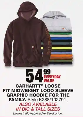 Blain's Farm & Fleet Carhartt loose fit midweight logo sleeve graphic hoodie for the family offer