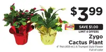 ShopRite Zygo cactus plant offer