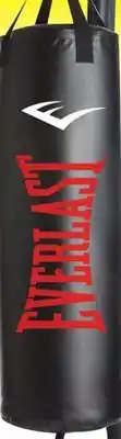 Big 5 Everlast 100 lb. nevatear heavy bag offer
