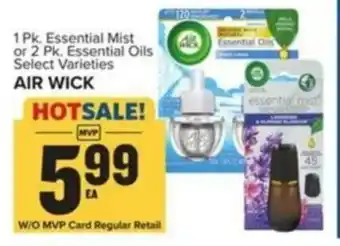 Food Lion AIR WICK offer