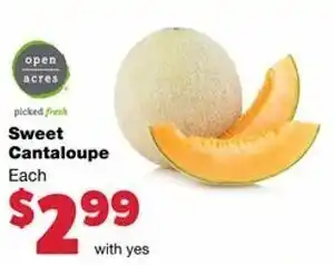 Family Fare Sweet Cantaloupe offer