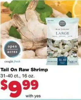 Tail On Raw Shrimp 16 oz
