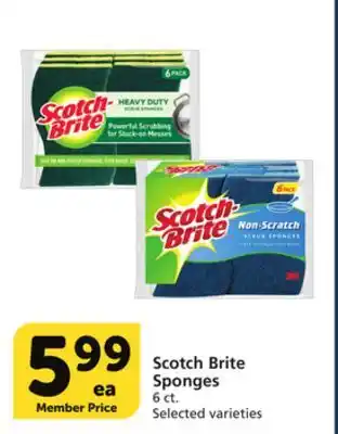 Albertsons Scotch brite sponges offer
