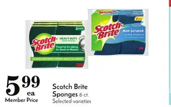 Pavilions Scotch brite sponges offer