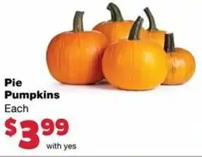 Family Fare Pie Pumpkins offer