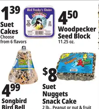 Ocean State Job Lot Suet offer