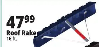 Ocean State Job Lot Roof rake offer