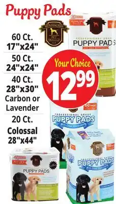 Ocean State Job Lot Puppy pads offer