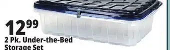 Ocean State Job Lot 2 pk. under-the-bed storage set offer
