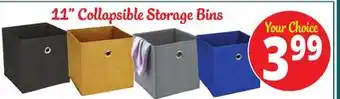 Ocean State Job Lot 11 collapsible storage bins offer