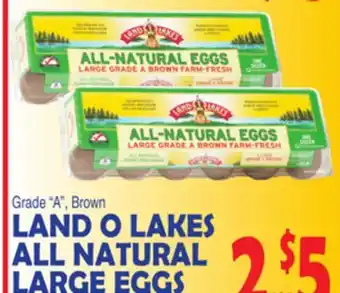 Bravo Supermarkets Land o lakes all natural large eggs offer