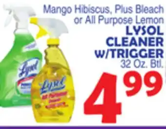 Bravo Supermarkets Lysol cleaner w/trigger offer