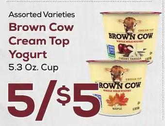 DeCicco & Sons Brown cow cream top yogurt offer