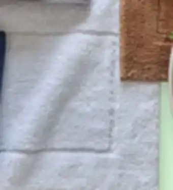 JC Penney Liz claiborne signature plush 17x24 bath rugs offer