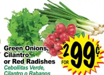 Superior Grocers Green onions, cilantro or red radishes offer