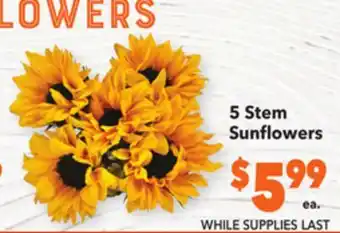 Vallarta Supermarkets 5 stem sunflowers offer