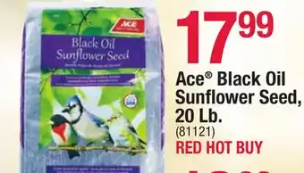 Ace Hardware Ace black oil sunflower seed 20 lb offer