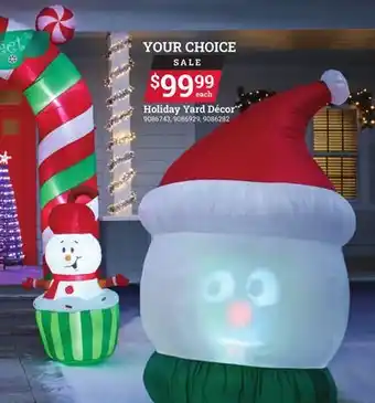 Ace Hardware Holiday yard décor offer