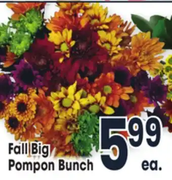 Jewel-Osco Fall big pompon bunch offer