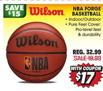 Big 5 Wilson nba forge basketball offer